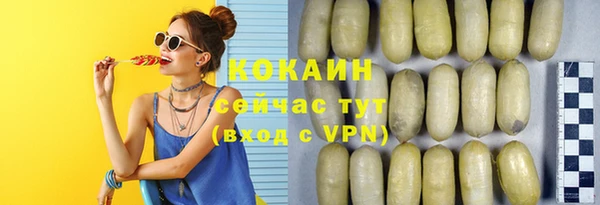 индика Армянск