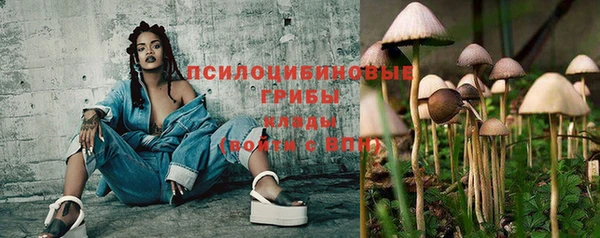 соль курить ск Аркадак