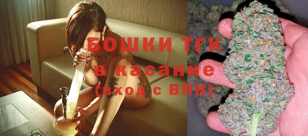 стафф Арсеньев