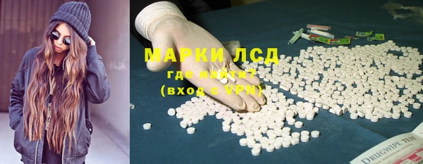 индика Армянск