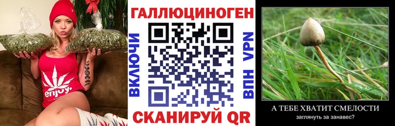 Галлюциногенные грибы MAGIC MUSHROOMS  мориарти Telegram  Тейково 